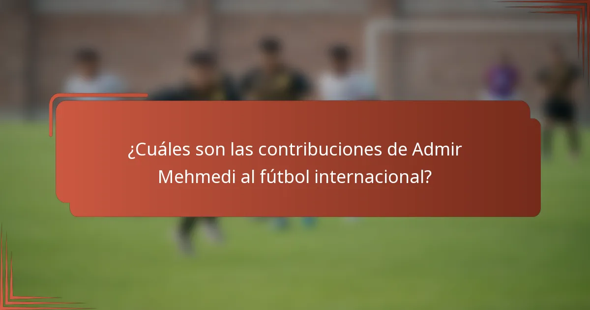 ¿Cuáles son las contribuciones de Admir Mehmedi al fútbol internacional?