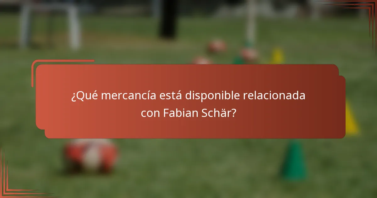 ¿Qué mercancía está disponible relacionada con Fabian Schär?